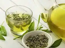 Is drinking green tea really important to lose weight or not?..